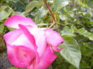 P1230819