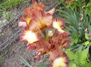 P1230837