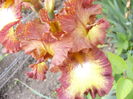 P1230838