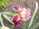 P1230840