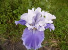 P1230846
