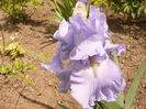 P1230861