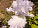 P1230864