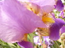P1230875
