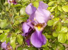 P1230878