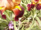 P1230879