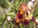 P1230880