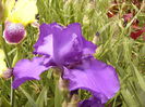 P1230894