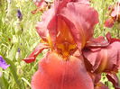 P1230897