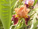 P1240002