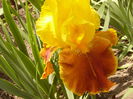 P1240011