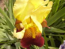 P1240018