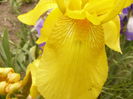 P1240023