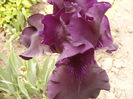 P1240030