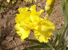 P1240033