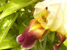 P1240035