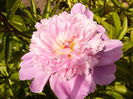P1240039