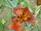 P2190527