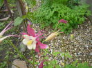 Picture 022