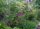 IMGP7972