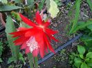 IMG_20150515_072926