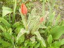 P1110999