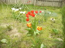 P1120004