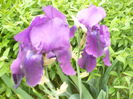 P1120085