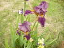 P1120092