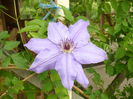 P1120101
