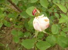 P1120106