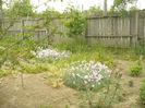 P1120112