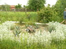 P1120116