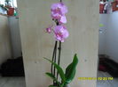 SAM_9417