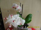 SAM_9430