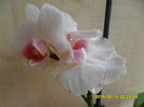 SAM_9431