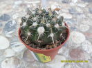 SAM_9453