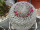 SAM_9457
