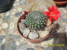 SAM_9462