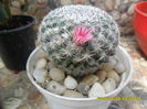 SAM_9464