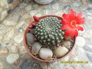 SAM_9472