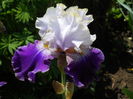 DSCN6644