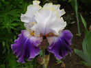 DSCN6696