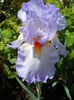 DSCN6648