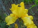 Bilionare