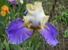 DSCN6672