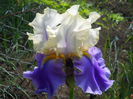 DSCN6739