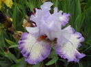 DSCN6682