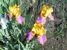 DSCN6733