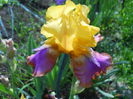 DSCN6736